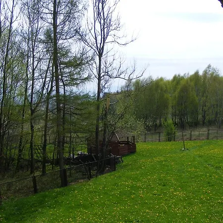 Viki Maison d'hôtes Buczkowice
